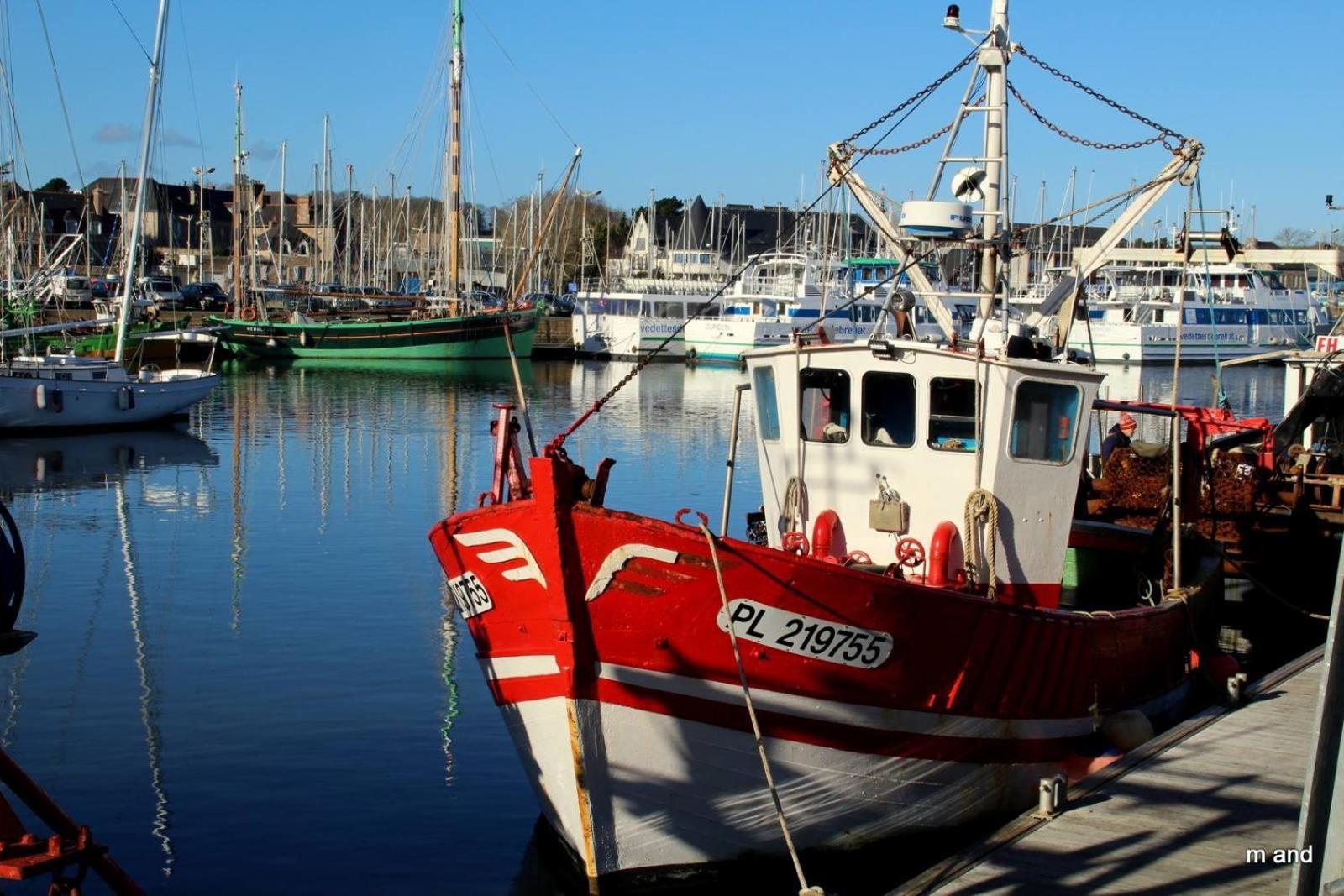 Gite Paimpol Le Loarwenn Екстер'єр фото