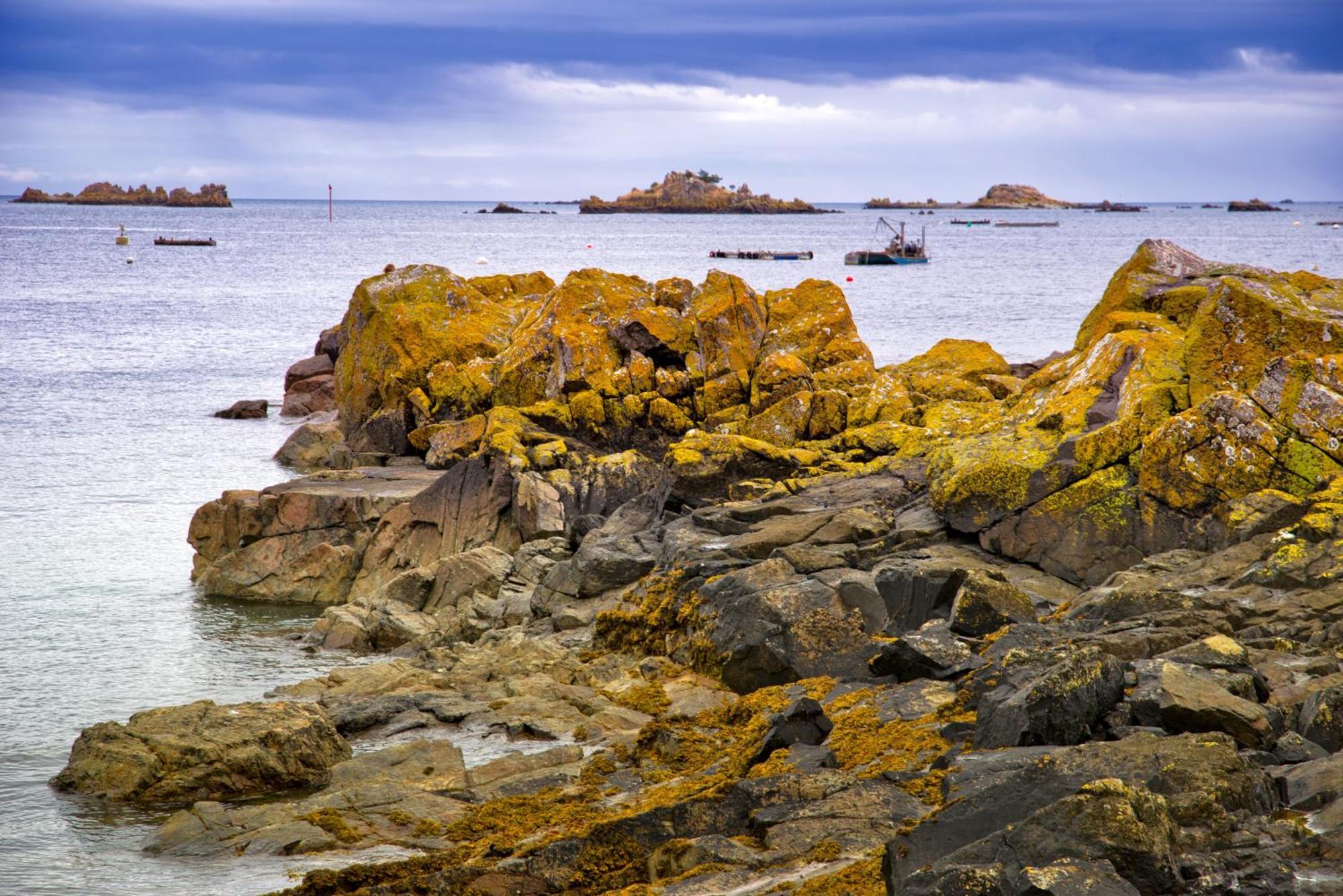 Gite Paimpol Le Loarwenn Екстер'єр фото
